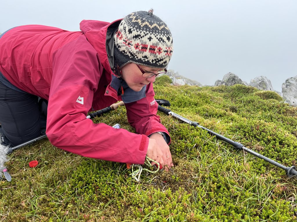 Researcher taking soil sample